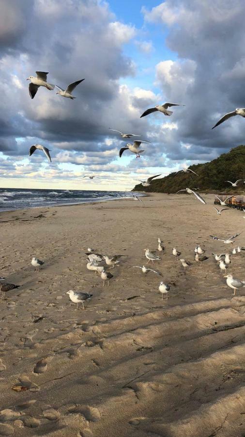 Sosnowa Mila - Domy I Apartamenty Pobierowo Dış mekan fotoğraf